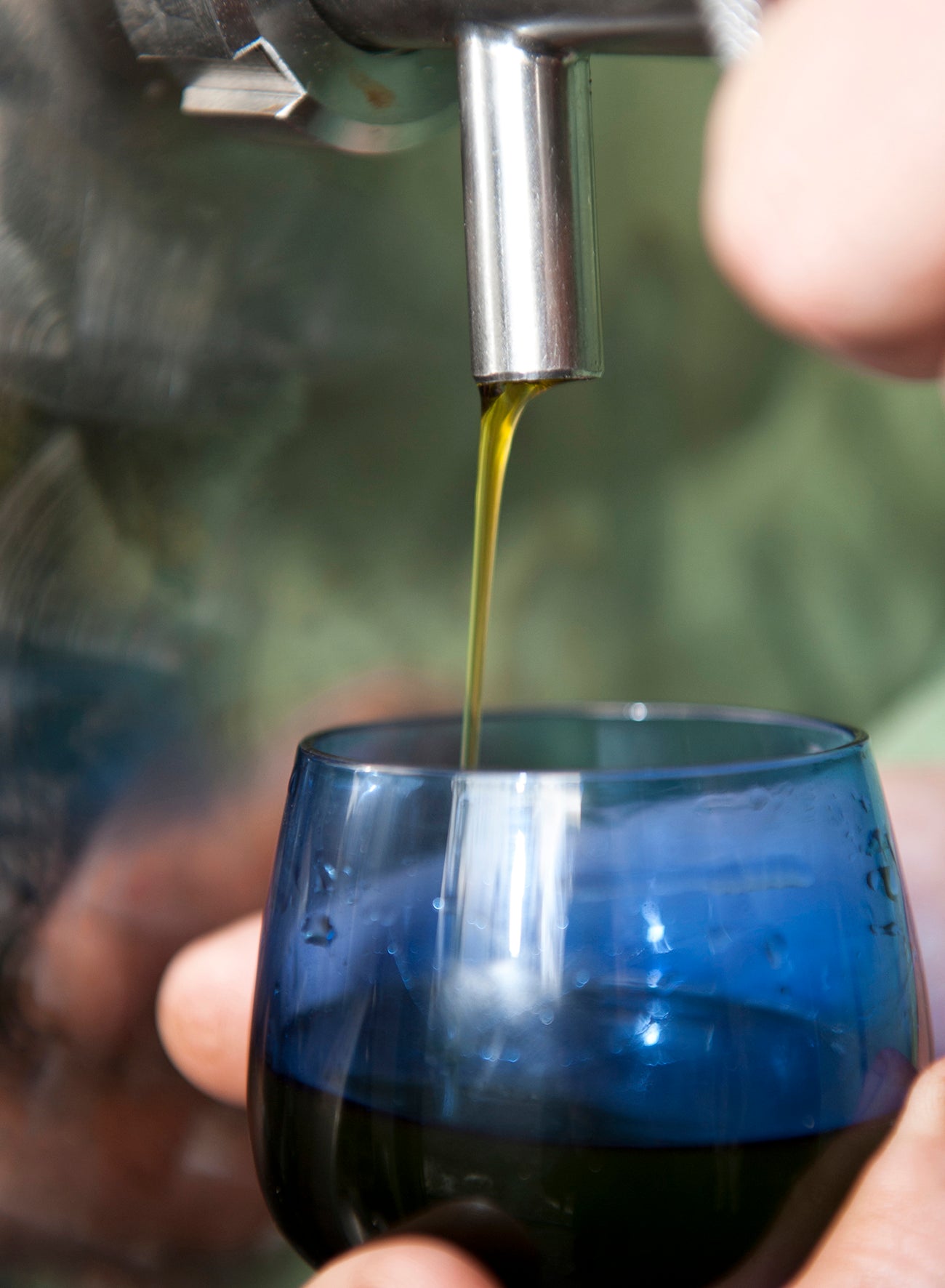 Calidad en Aceite de Oliva